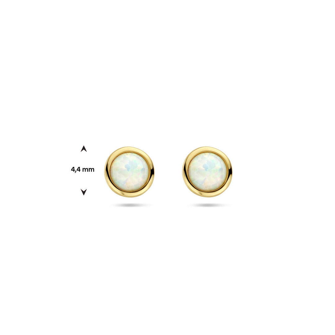 oorknoppen opaal 14K geelgoud