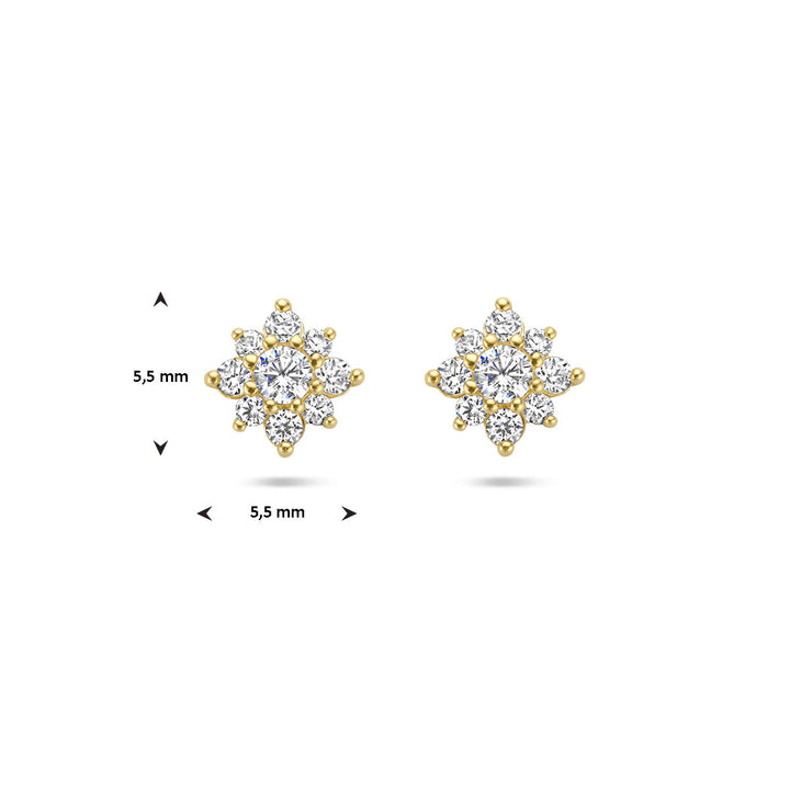 oorknoppen zirkonia rozet 14K geelgoud
