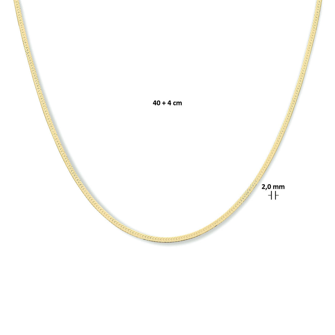 Het collier slang plat 2,0 mm (40 + 4 cm) van Van der Kooij Collectie is zilver verguld (geel, 3 micron) en wordt elegant gepresenteerd op een witte achtergrond; perfect als stijlvol accessoire voor elke gelegenheid.
