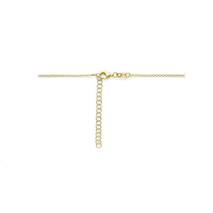 collier hart 1,5 mm 42 + 5 cm 3 micron zilver verguld (geel)