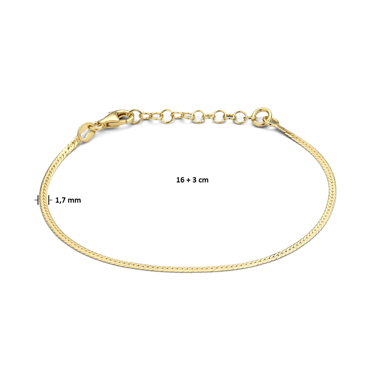 De Van der Kooij Collectie armband plat is een delicate 1,7 mm goudkleurige armband van 16 + 3 cm (verstelbaar), gemaakt van 3 micron zilver verguld (geel) en voorzien van een fijne ketting en een karabijnsluiting.