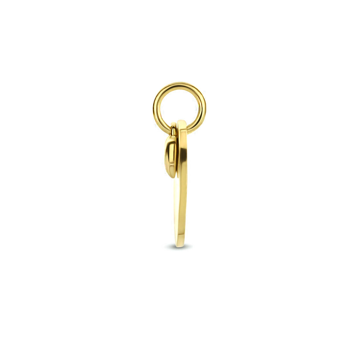 colgante de corazón 14K oro amarillo