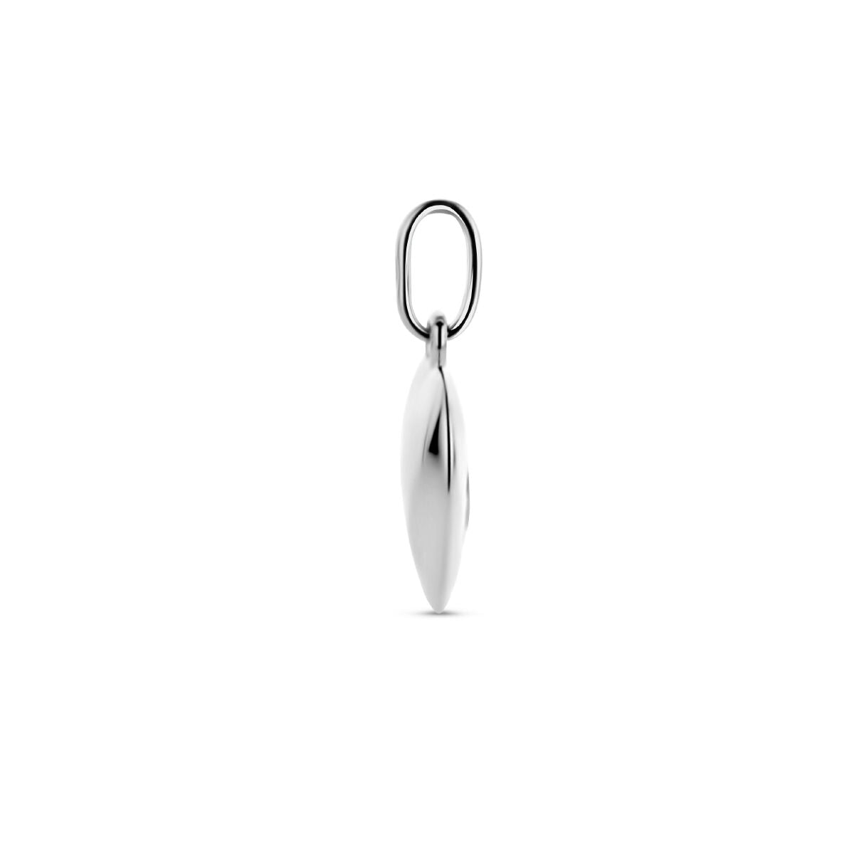 colgante corazón y huella de perro zirconia plata rodiada