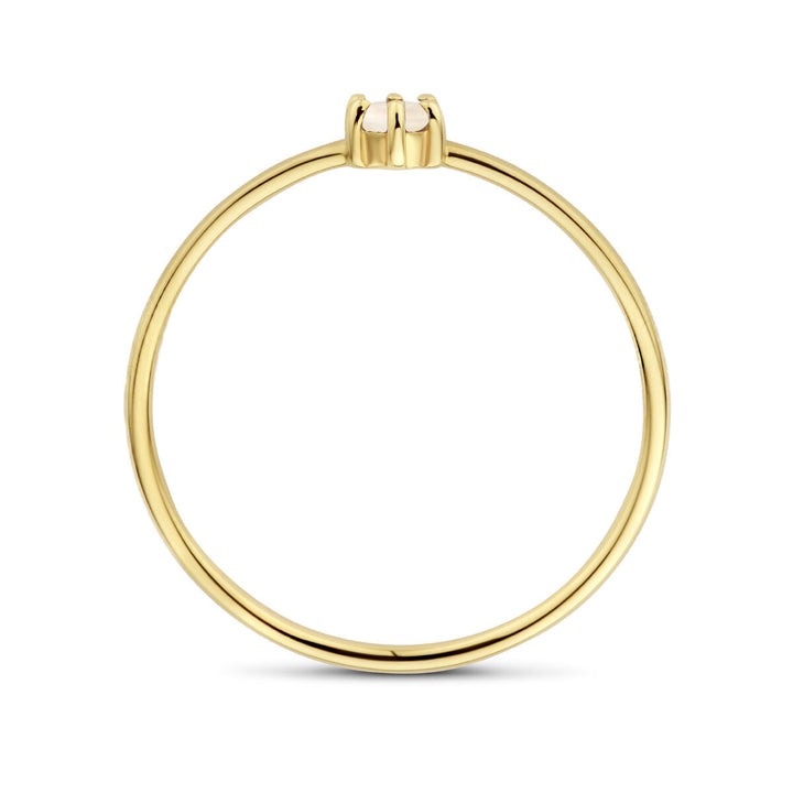 ring met geboortesteen maansteen juni 14K geelgoud