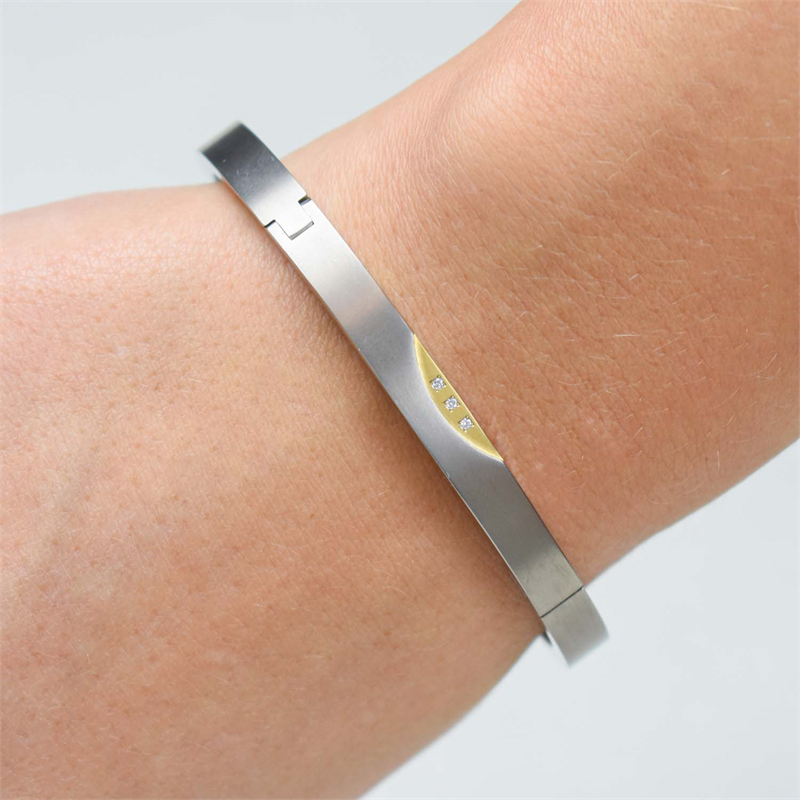 Boccia Titanium Pulsera Sp. Bicolor dia 3/0.015