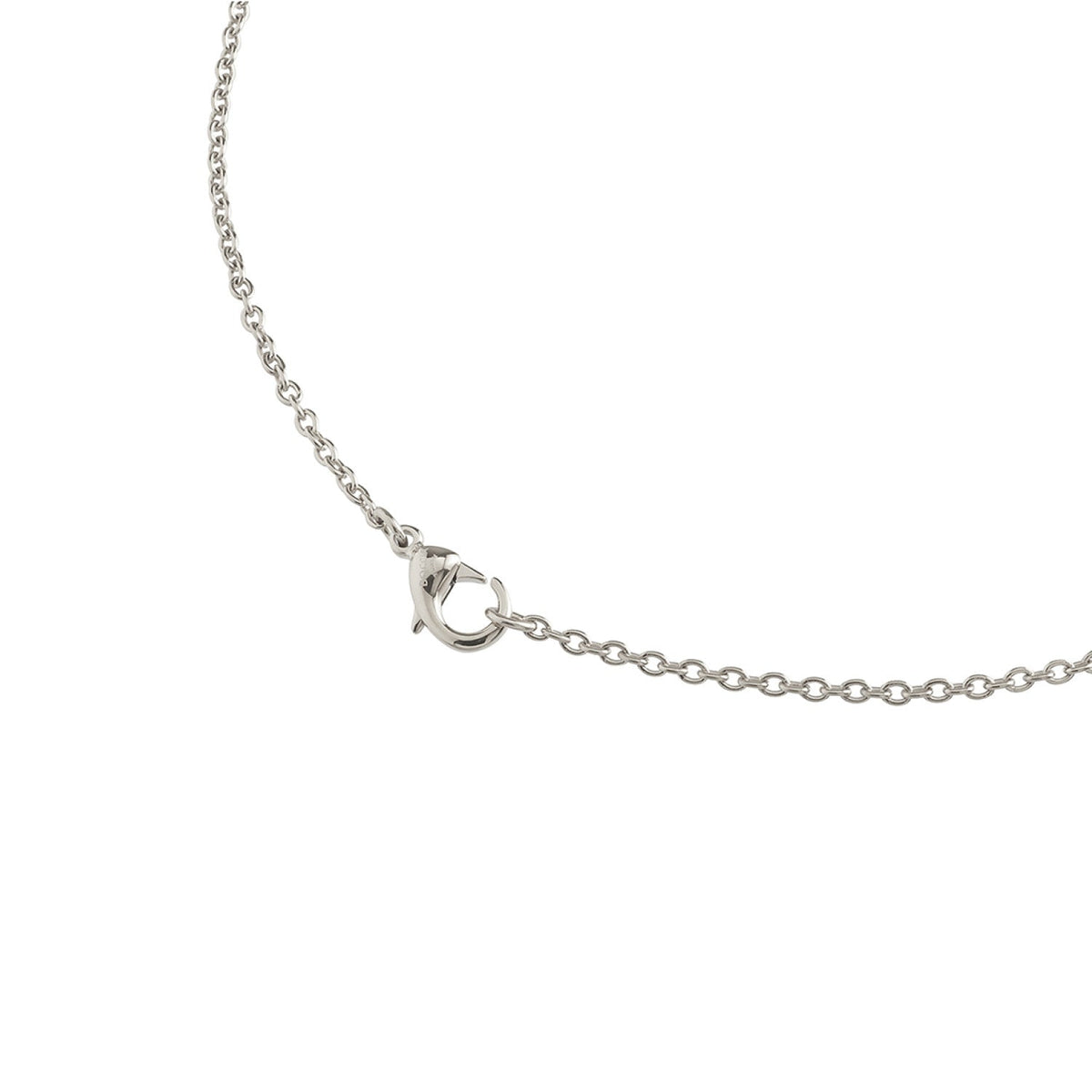Collar de titanio con cadena fina y cierre de anilla, acabado plateado.