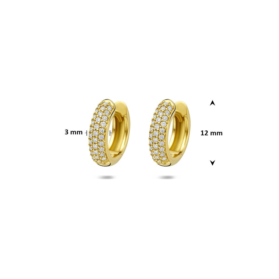 14k Geelgouden klapoorringen met diamant