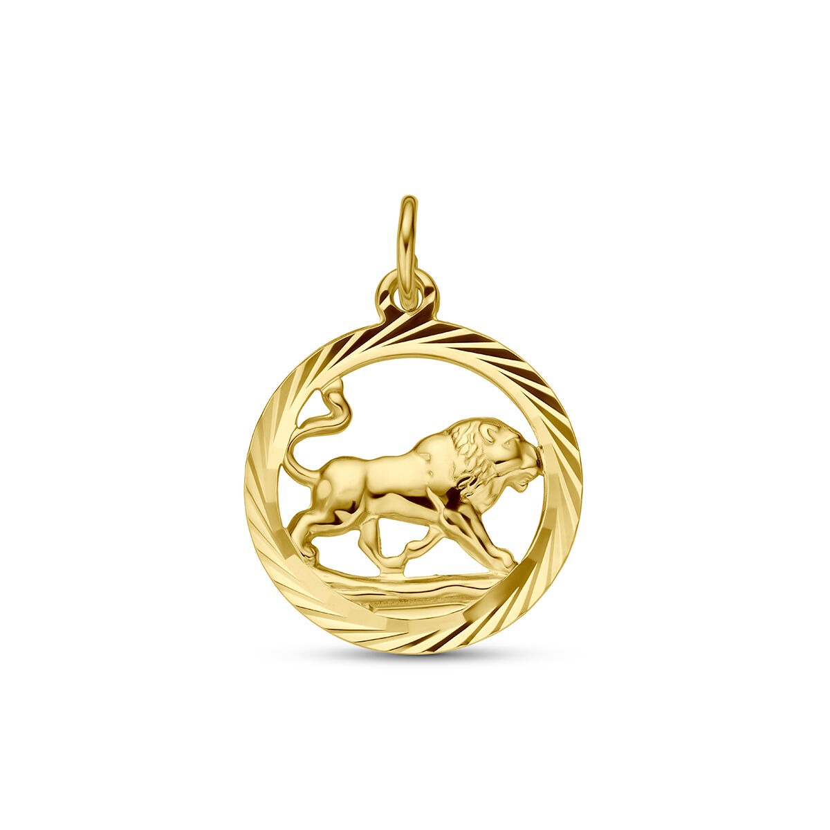 Colgante de oro amarillo de 9 quilates con diseño de león en relieve y borde trenzado.