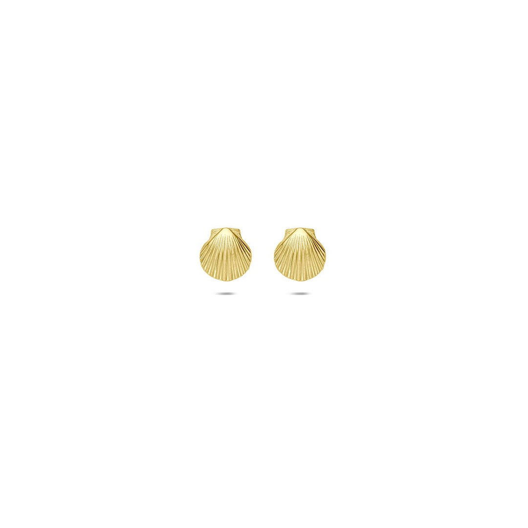 9k Geelgouden schelp oorknopjes