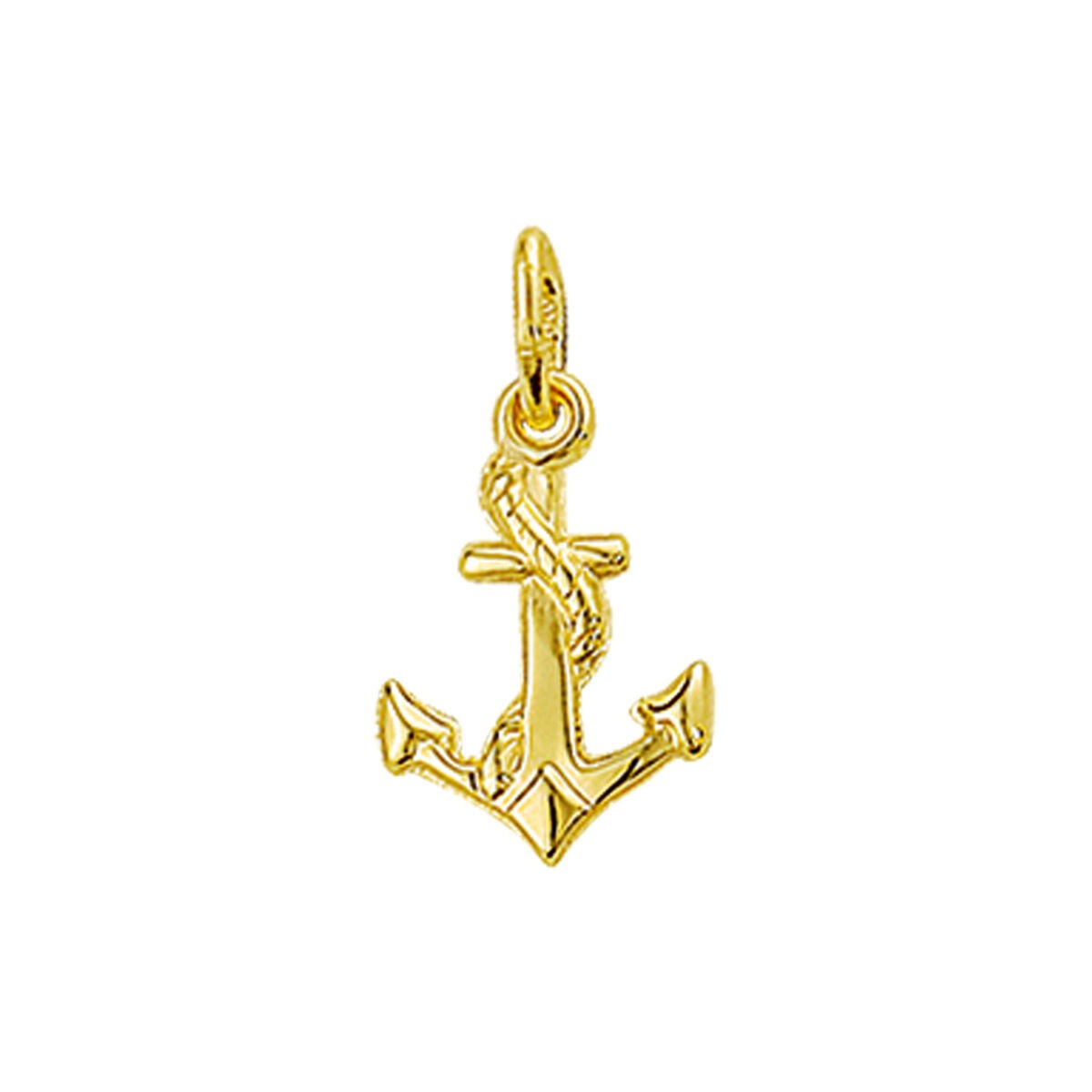 Colgante de ancla en oro amarillo de 9 quilates, con detalles de cuerda y 13,5 mm de altura.