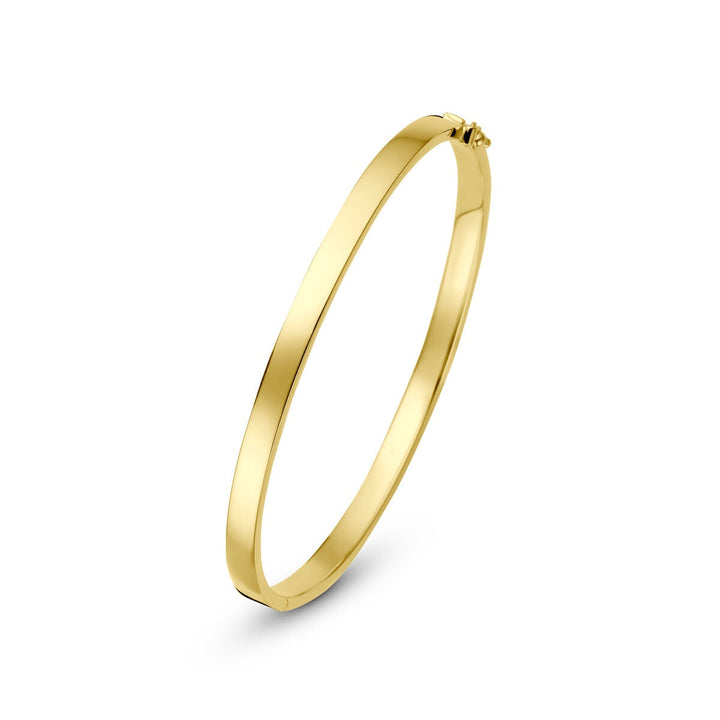 14k Geelgouden Silgold Bangle Dames