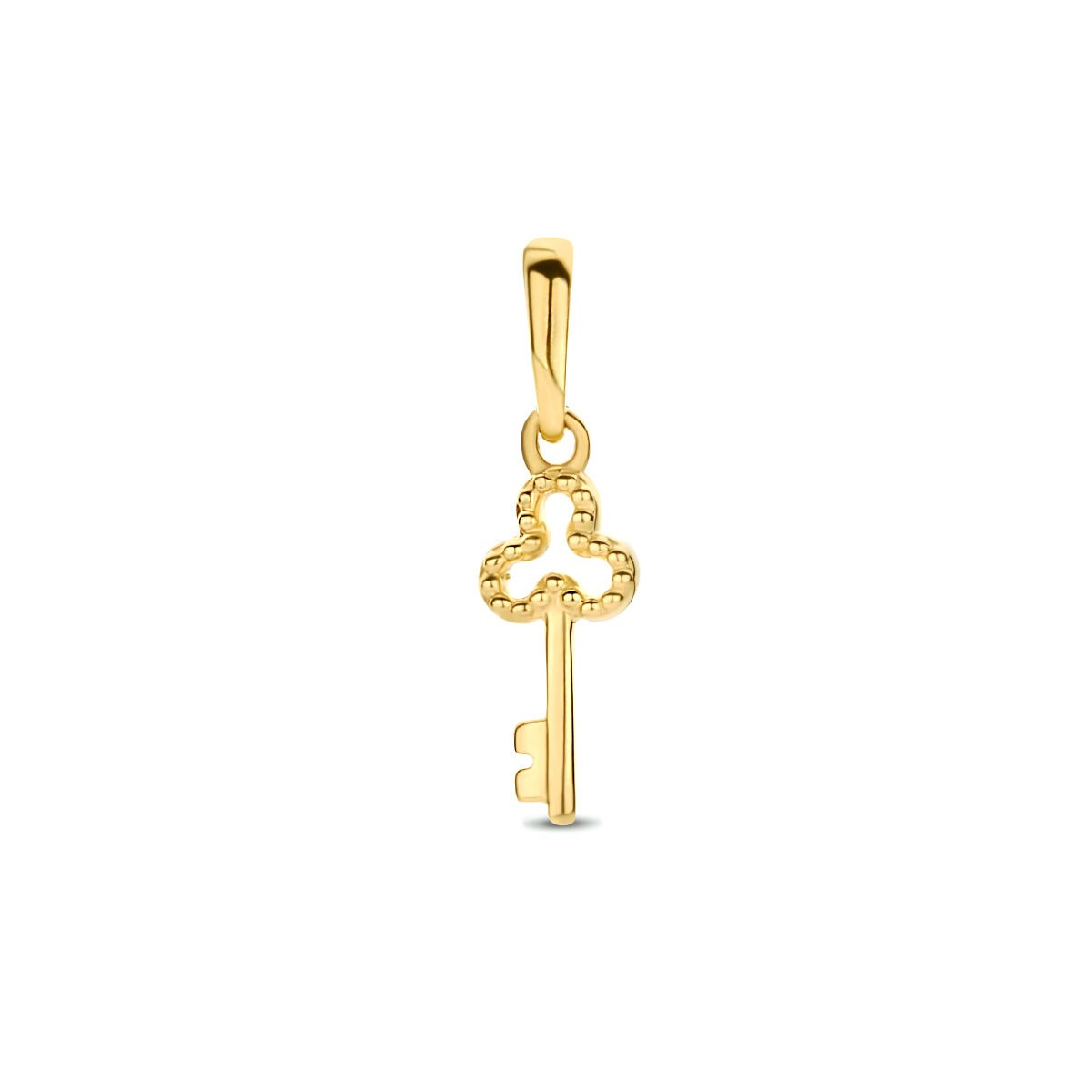 Colgante en forma de llave de oro amarillo de 9 quilates con detalles decorativos.