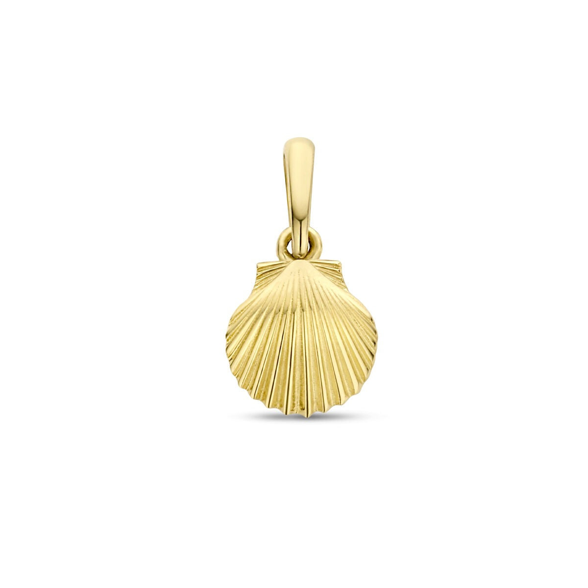 Colgante de concha en oro amarillo de 9 quilates con detalles grabados.