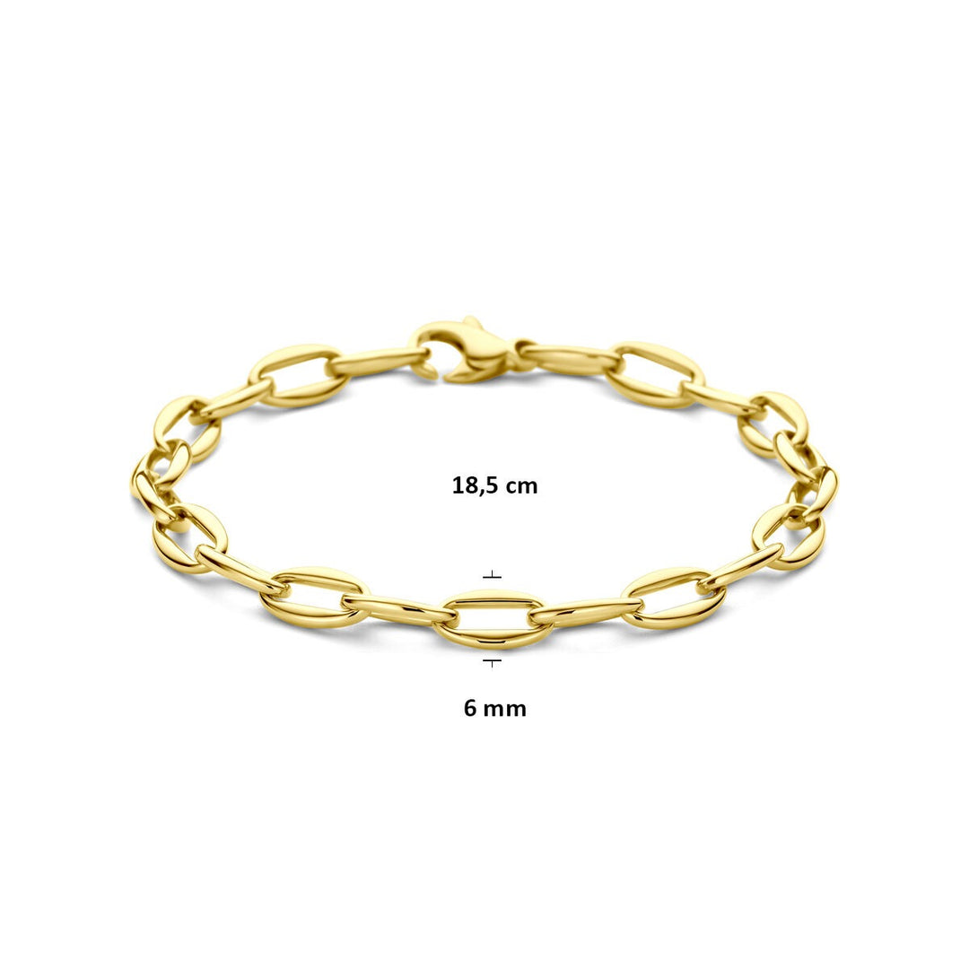 14k Geelgouden anker schakel armband dames