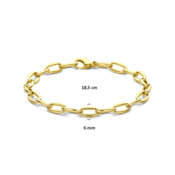 14k Geelgouden anker schakel armband dames