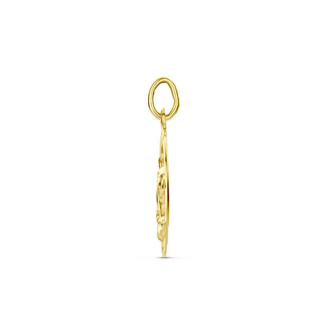 9k Geelgouden sterrenbeeld hanger