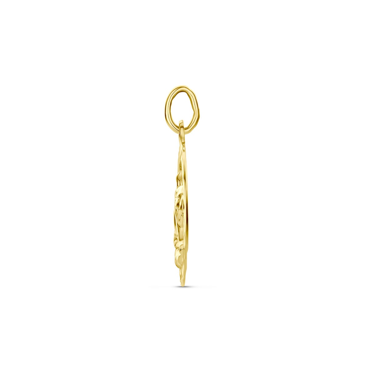 9k Geelgouden sterrenbeeld hanger