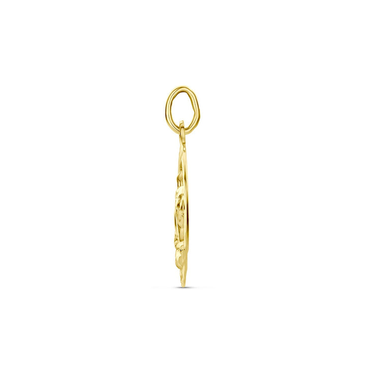 9k Geelgouden sterrenbeeld hanger