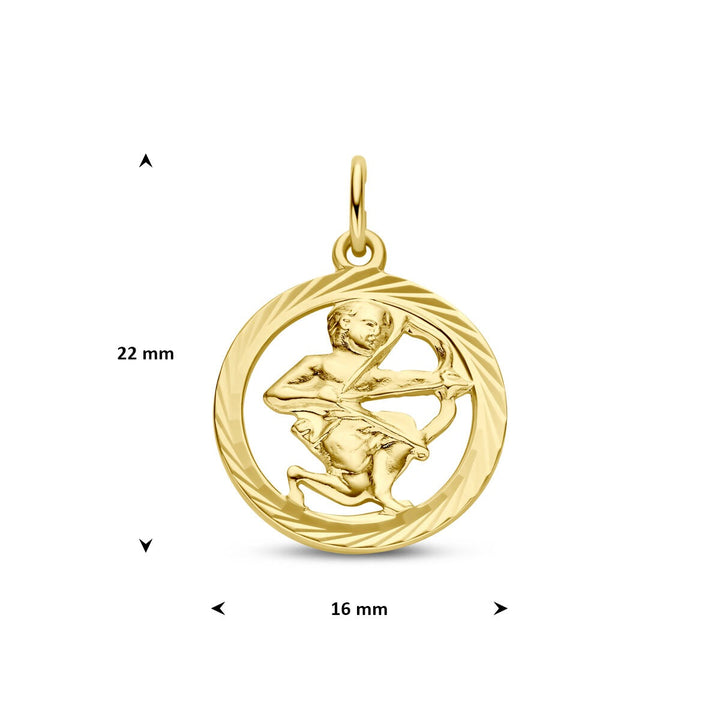 9k Geelgouden sterrenbeeld hanger