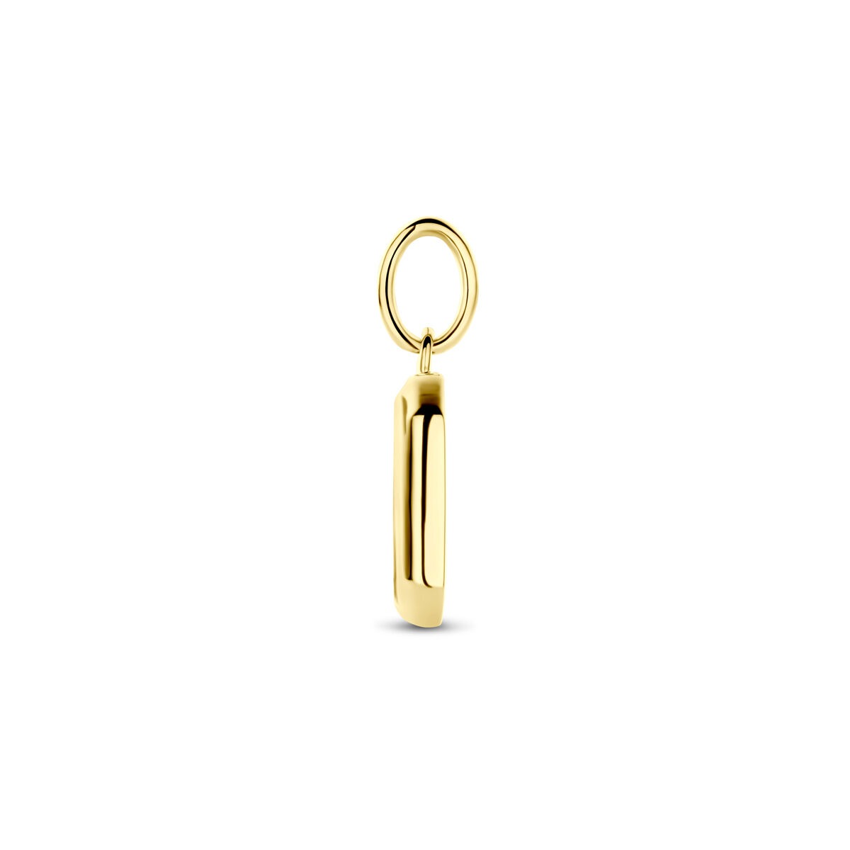 Colgante chapado en oro de plata con ónice – 20 mm
