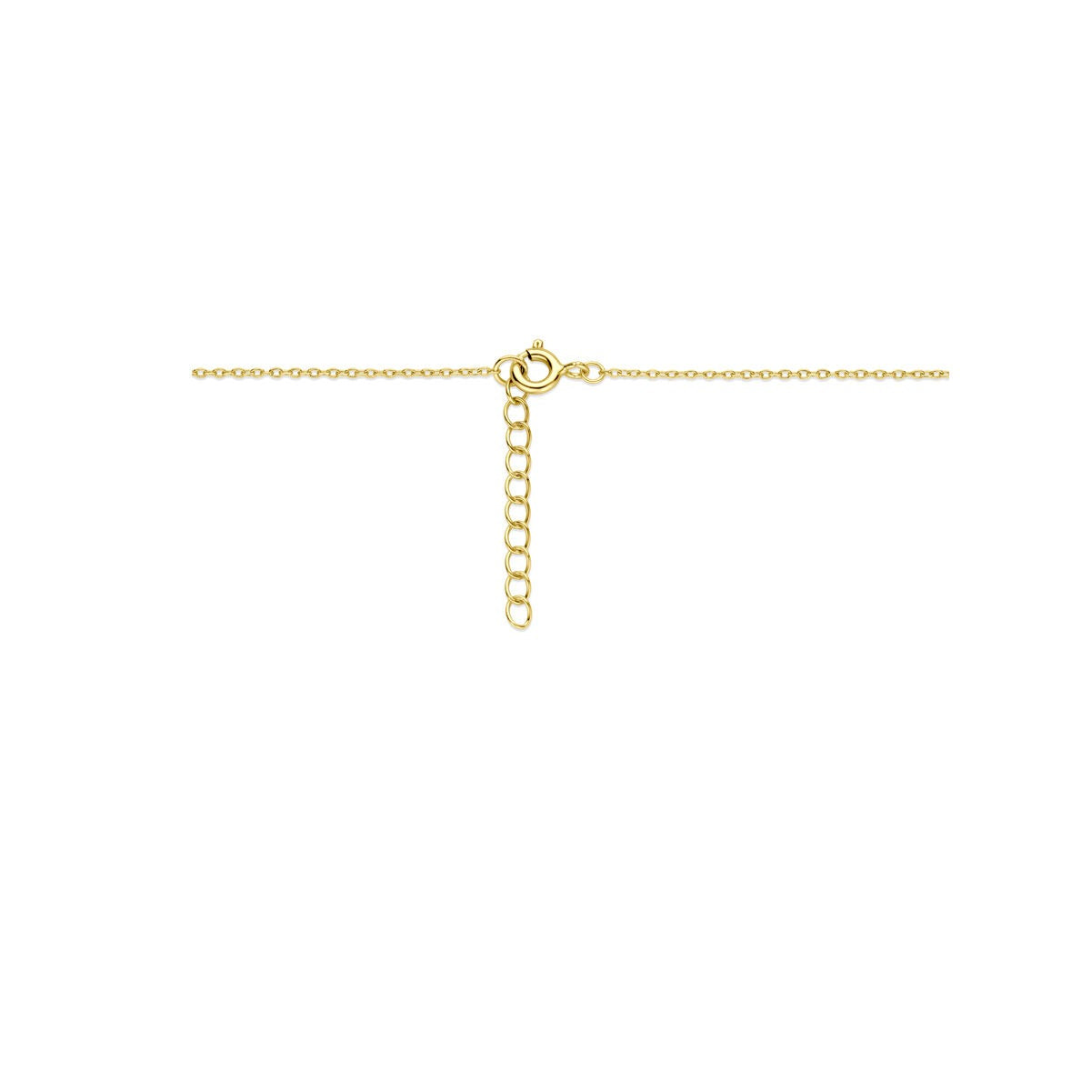 Collar chapado en oro con corazón de circonita y medallón de ónice