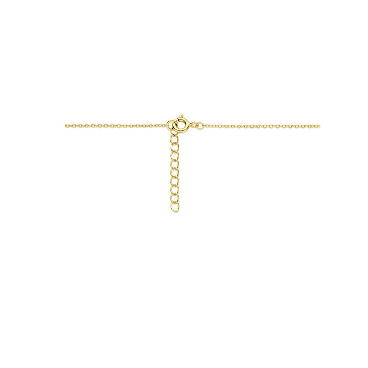 Verguld zilveren collier met hartje zirkonia en onyx medaillon