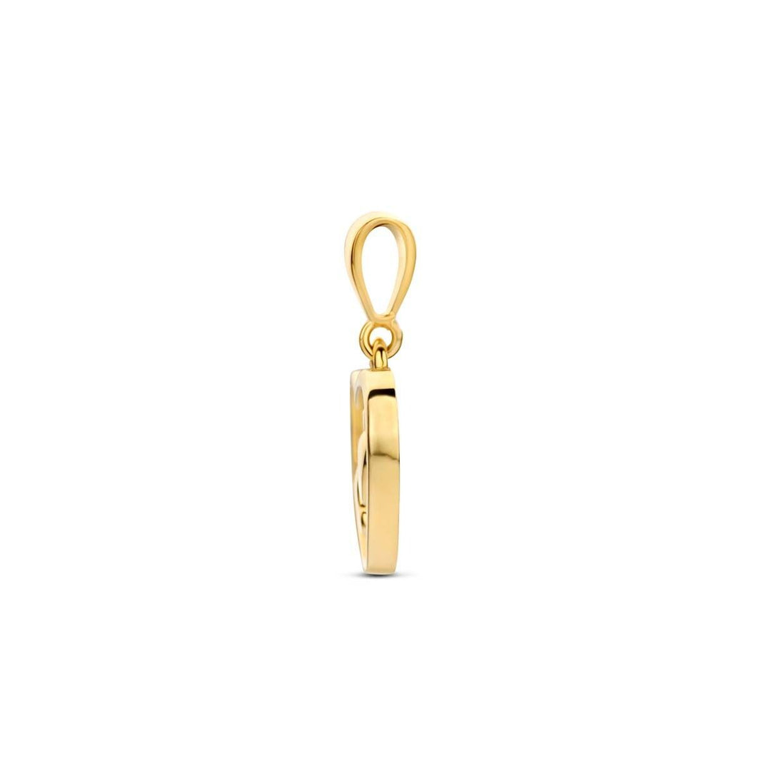 9k geelgouden hanger hart met voetjes
