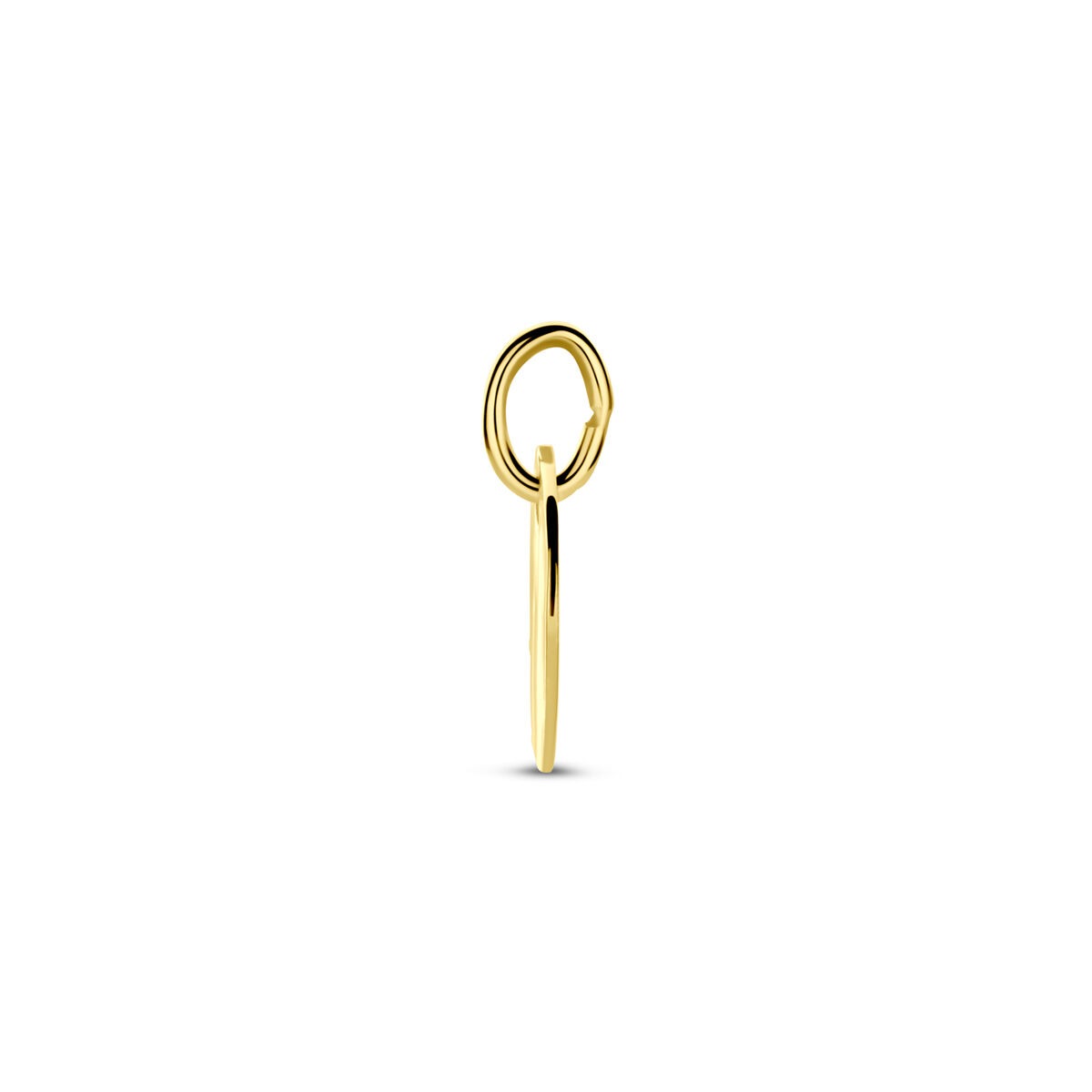 Colgante redondo chapado en oro amarillo con grabado 9k