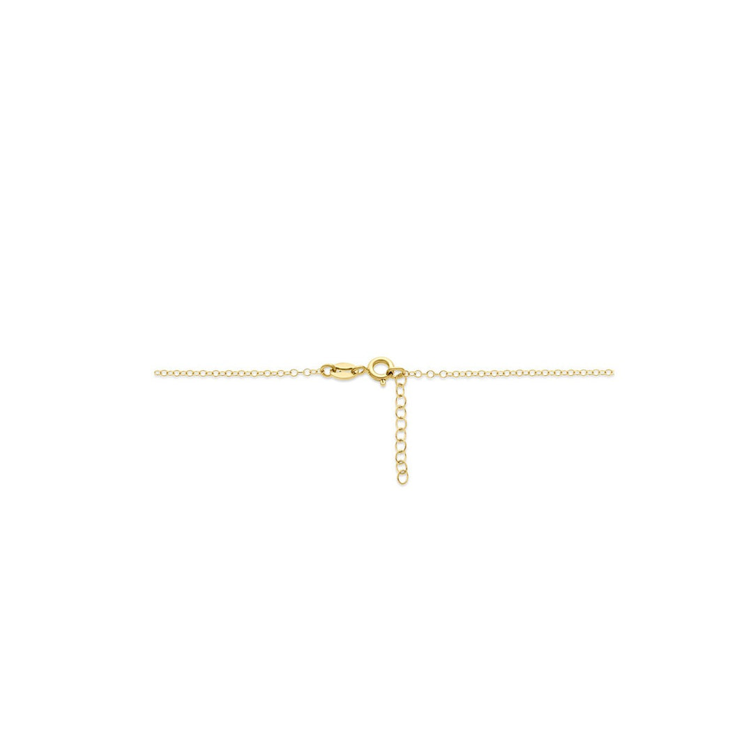 14k Geelgouden Ketting Ovaal Schakel
