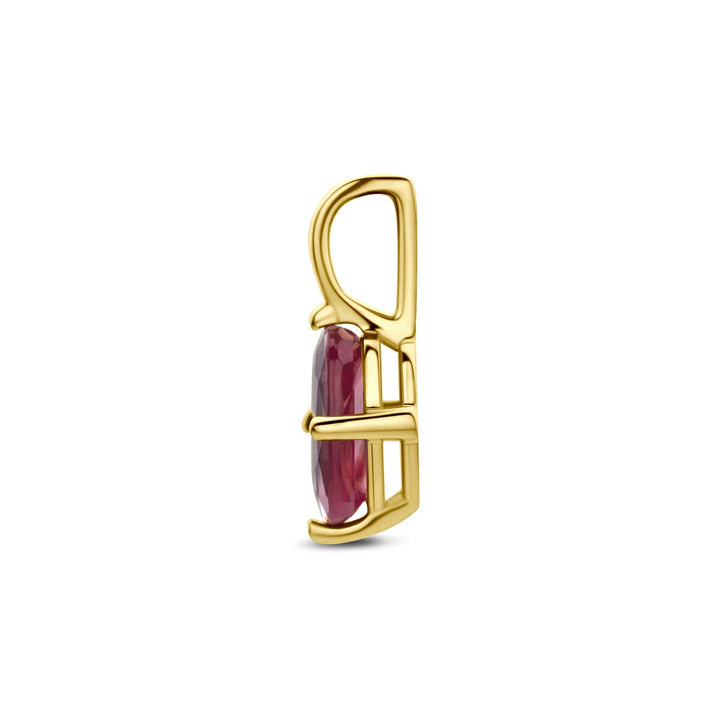 14k geelgouden hanger met robijn