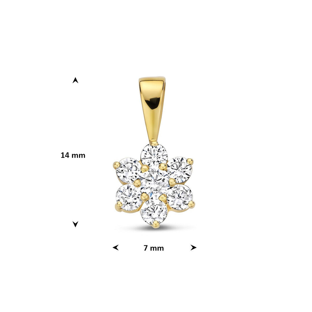 Gouden hanger met zirkonia – 14k, entourage stijl