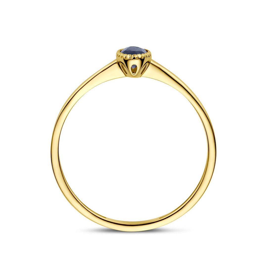 9k Geelgouden ring met saffier