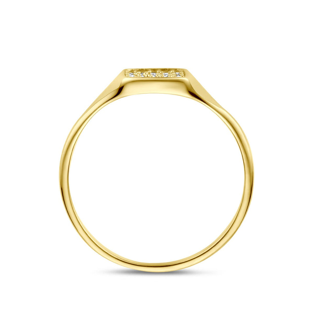 14k Geelgouden ring met zirkonia