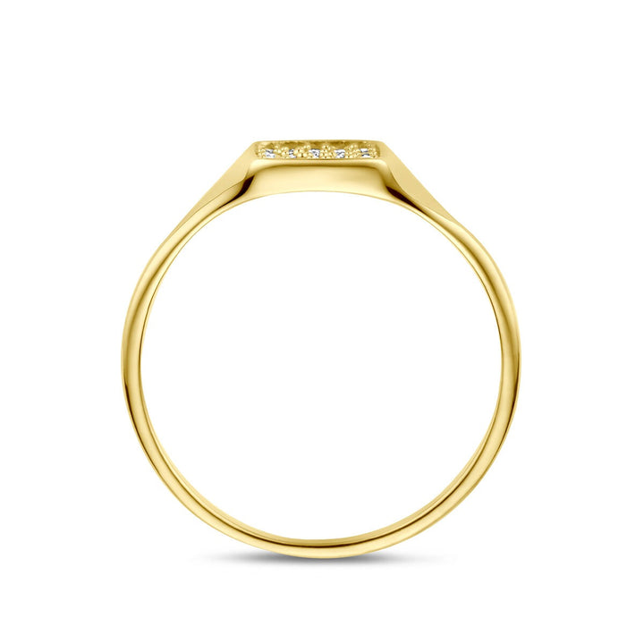 14k Geelgouden ring met zirkonia