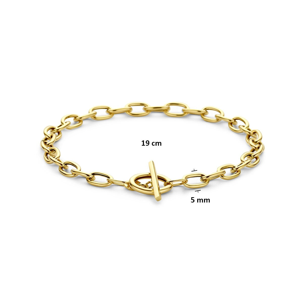 14k Geelgouden ankerarmband met kapittelslot
