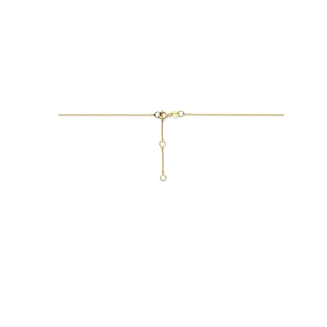 Gouden Collier 14k met Zirkonia – Jasseron Schakel