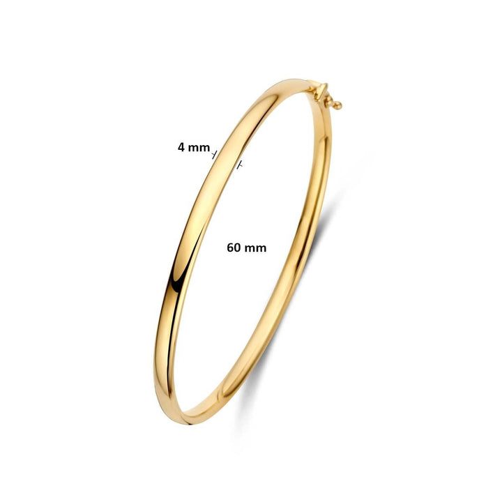9k Geelgouden bangle met scharniersluiting