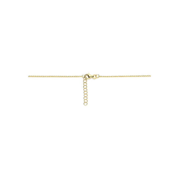 14k Geelgouden anker collier