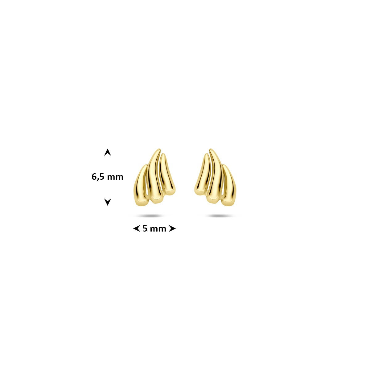 Pendientes de botón de oro amarillo 6,5 x 5 mm