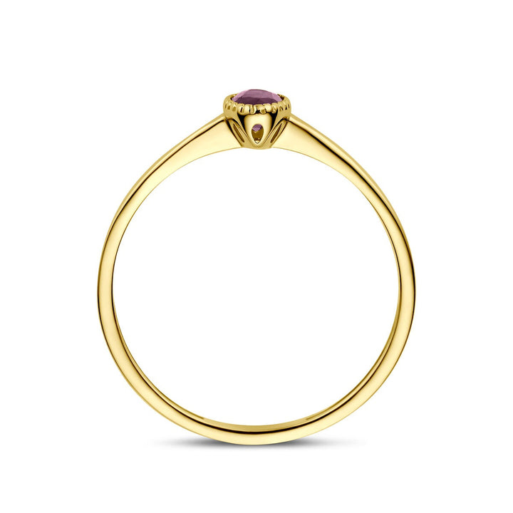 9k Geelgouden ring met robijn