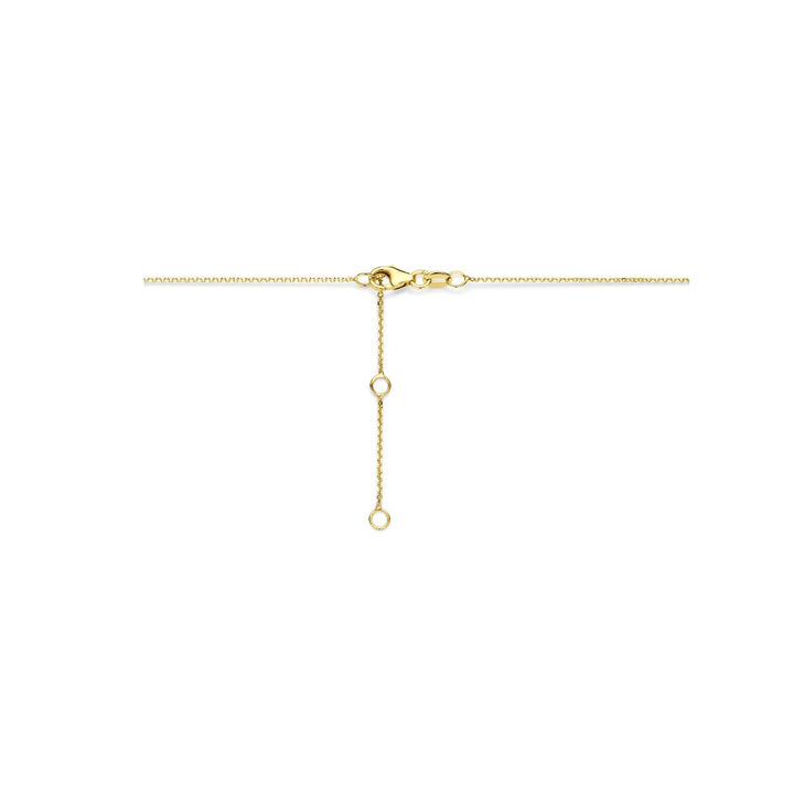 14k Geelgouden ketting met hartje