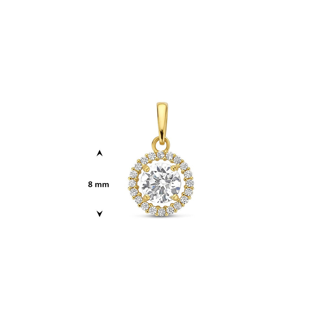 Gouden hanger met zirkonia – 14k, entourage stijl