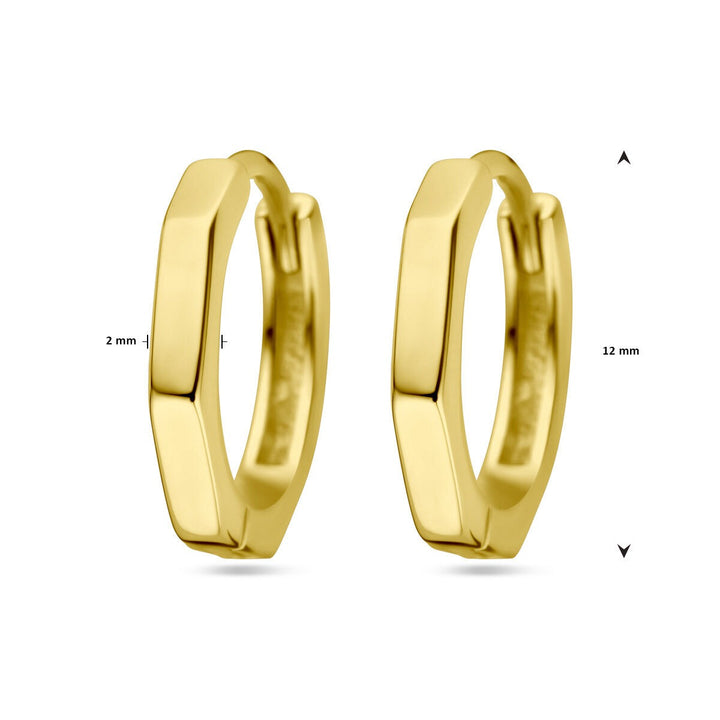 Verguld Zilveren Klapoorringen – 12 mm