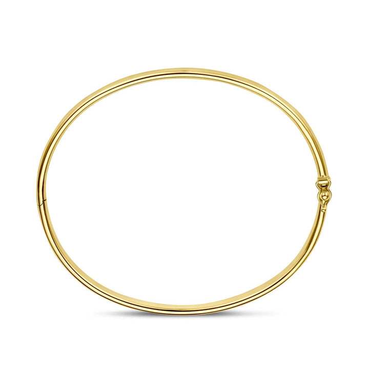 14k Geelgouden Silgold Bangle 4 mm Dames