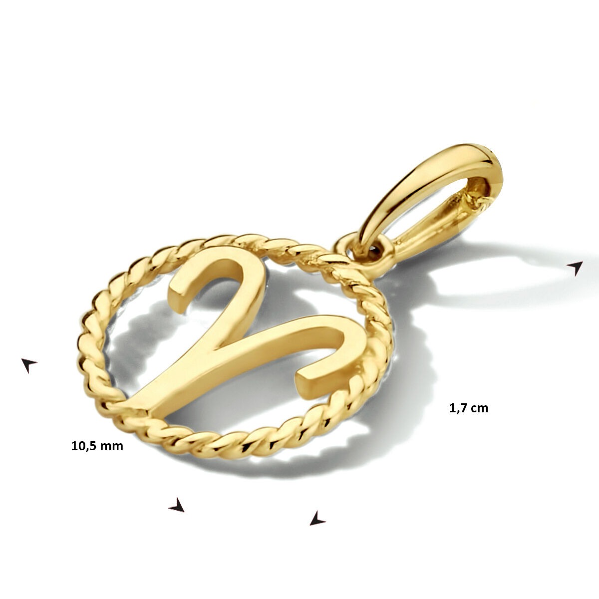 14k Geelgouden sterrenbeeld hanger