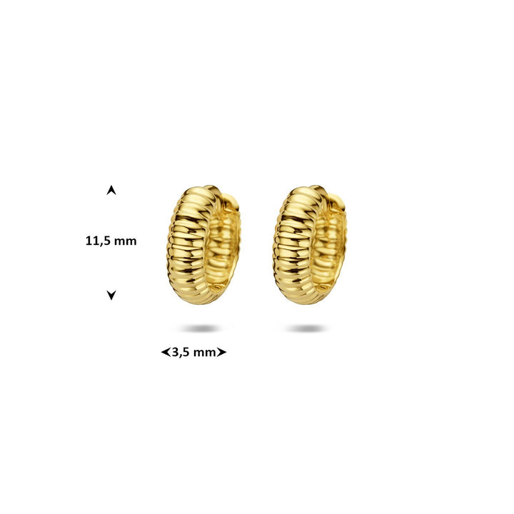 9k Geelgouden klapoorringen