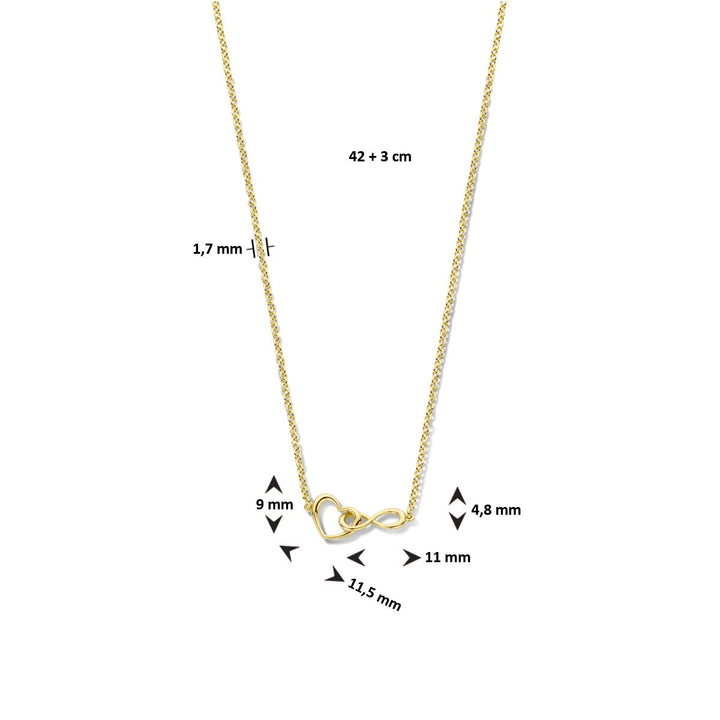 Geelgoud Verguld 925 Zilveren Collier met Hart en Infinity