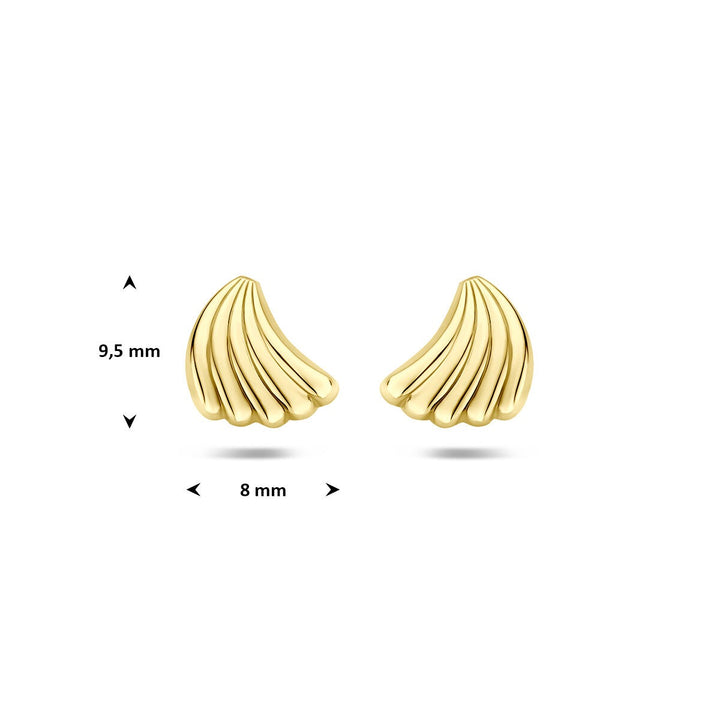 14k Geelgouden oorknopjes