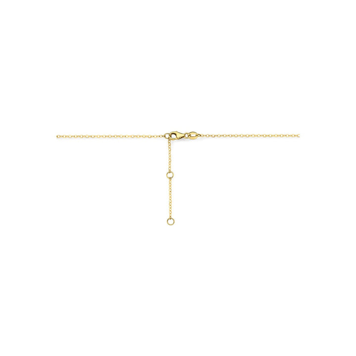 14k Geelgouden collier met maansteen