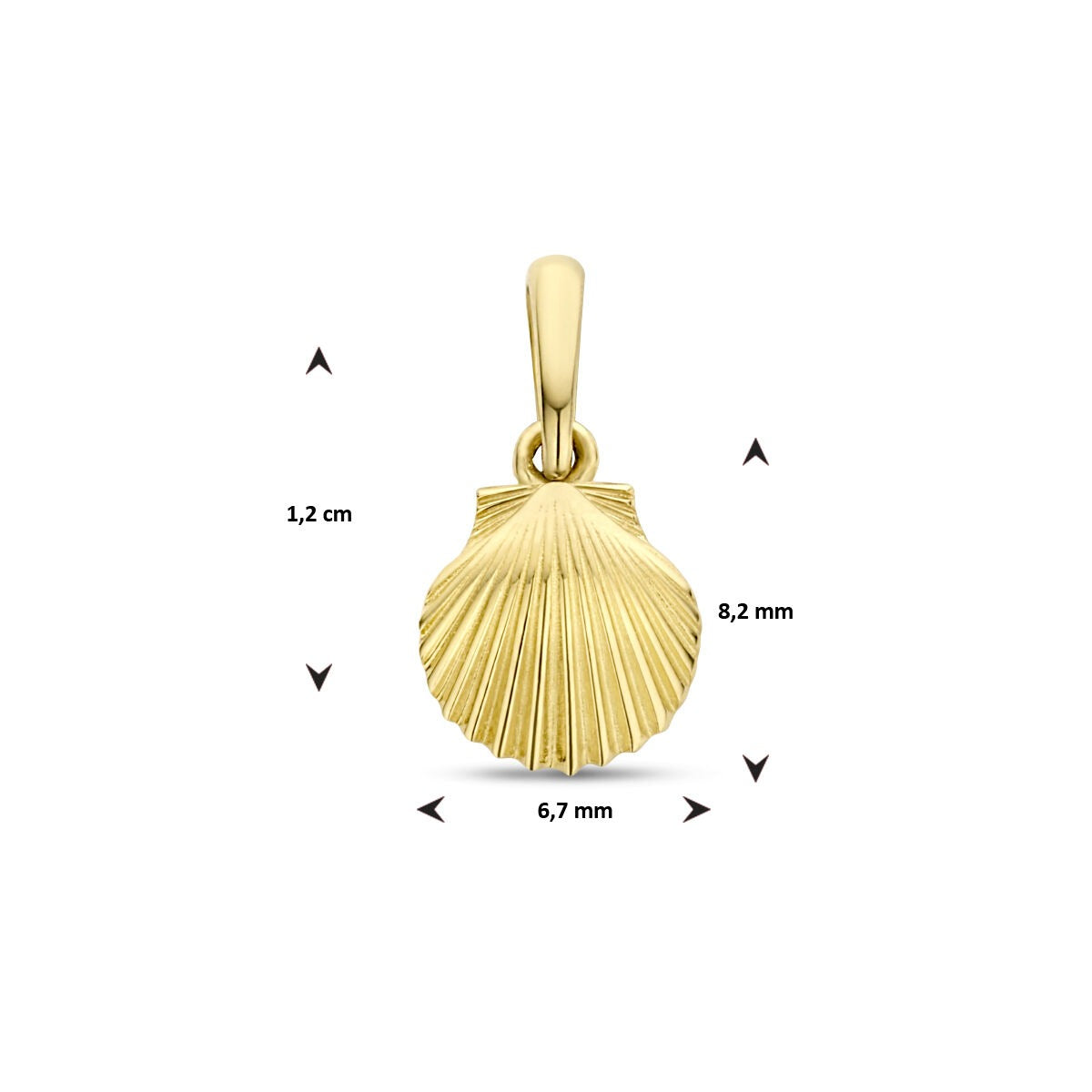 colgante de concha de oro amarillo de 9k